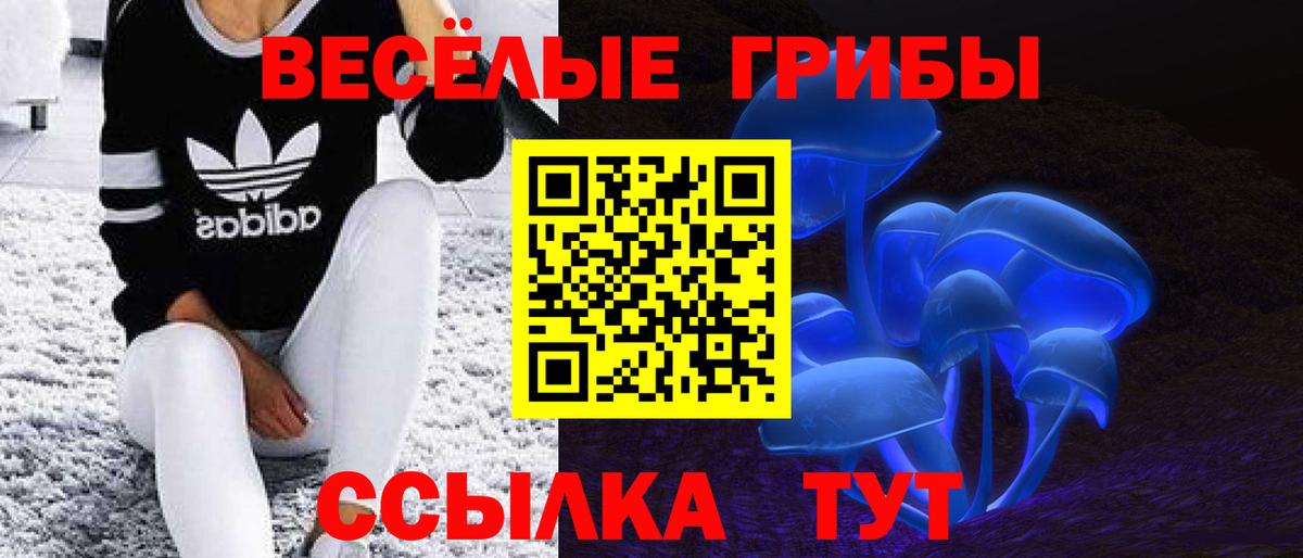 Псилоцибиновые грибы ЛСД Йошкар-Ола