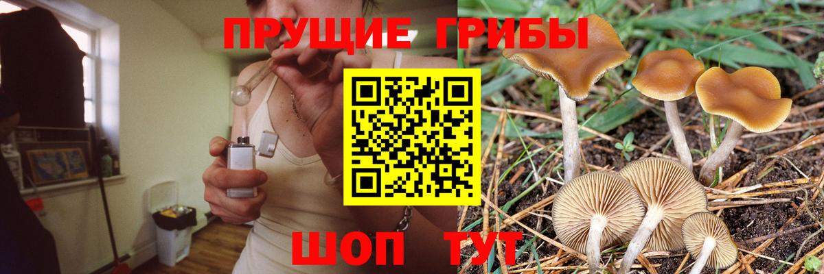 Йошкар-Ола  Галлюциногенные грибы Psilocybe  Псилоцибиновые грибы мухоморы  Вход с VPN 